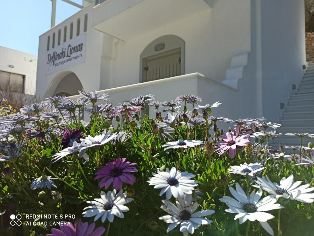 Villa Delfinaki Lionas Экстерьер фото