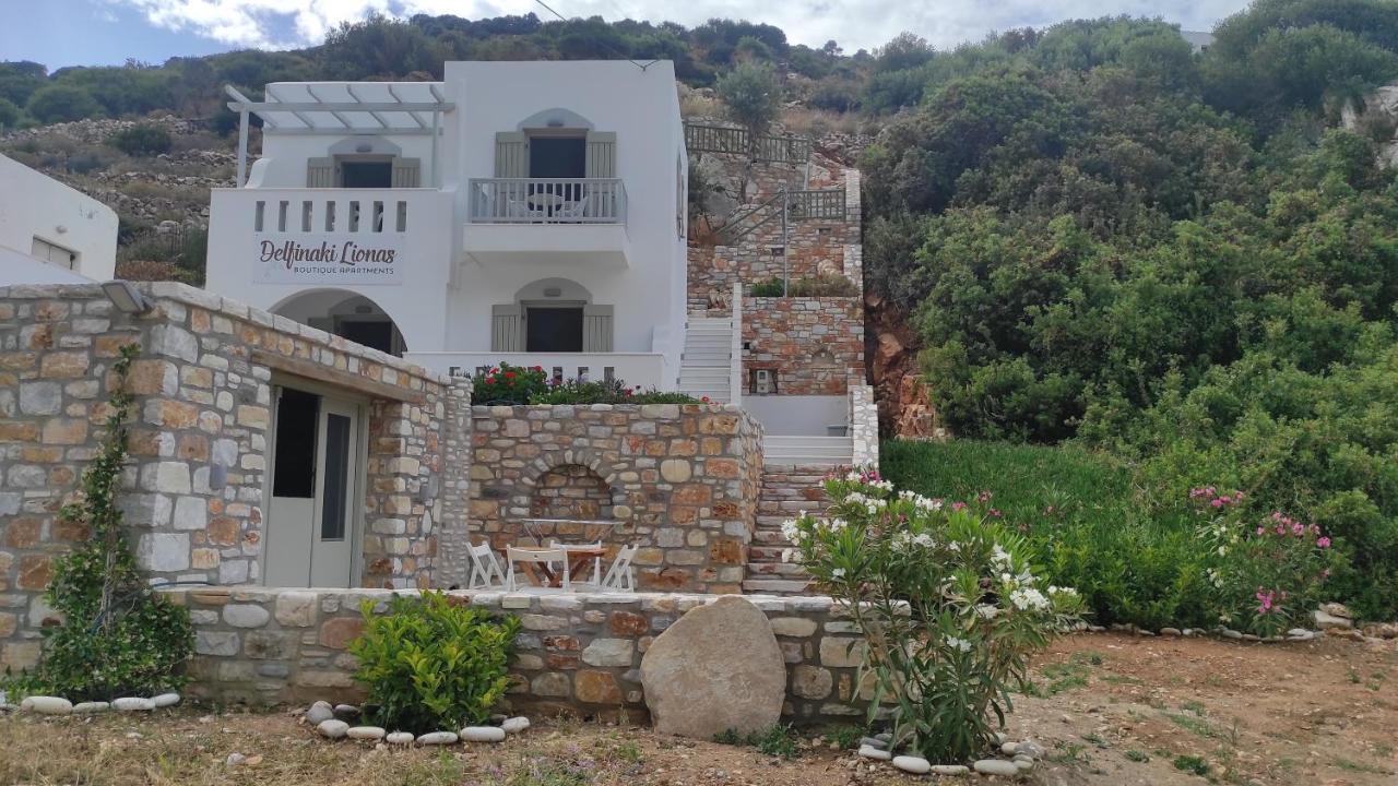 Villa Delfinaki Lionas Экстерьер фото