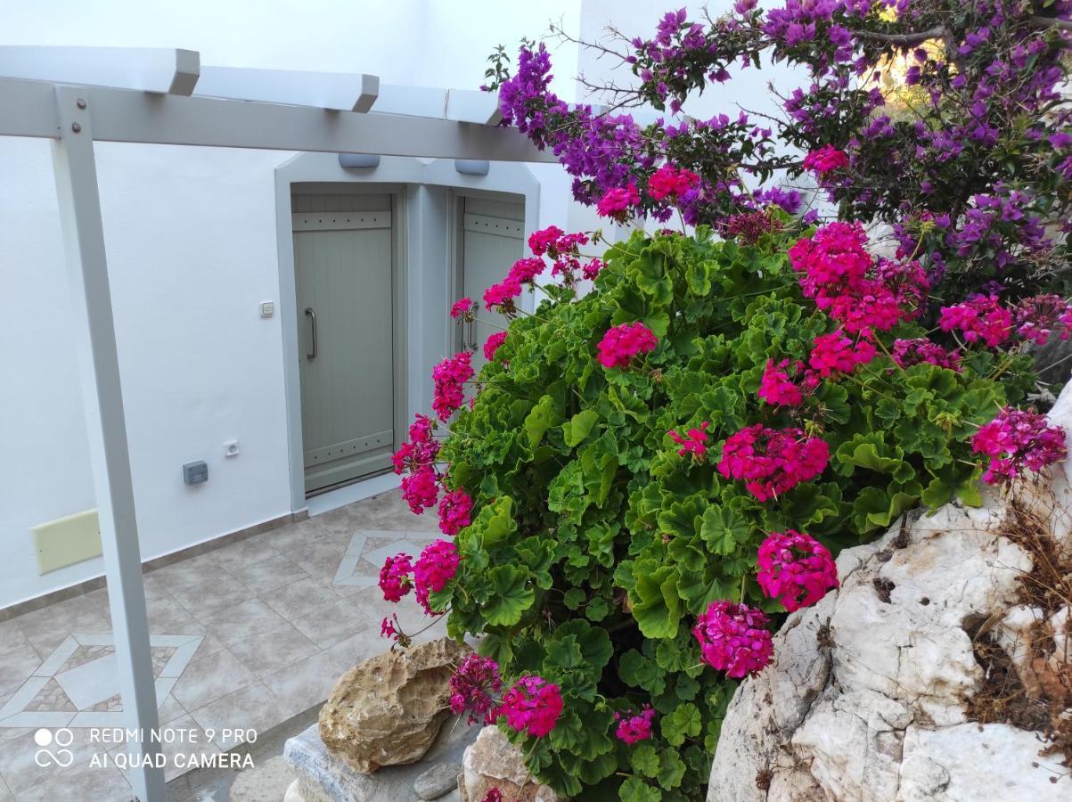 Villa Delfinaki Lionas Экстерьер фото